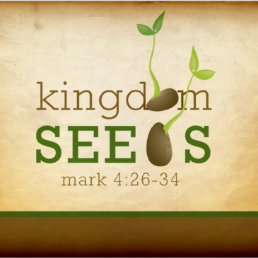 Kingdom Seeds
