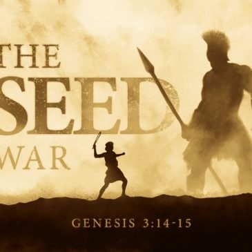 The Seed War