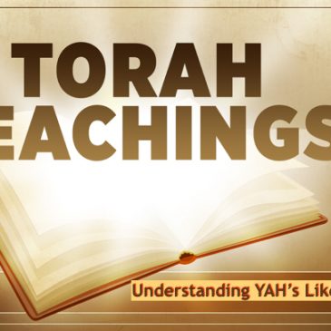 Torah Teachings – Vayyiqra Part 1