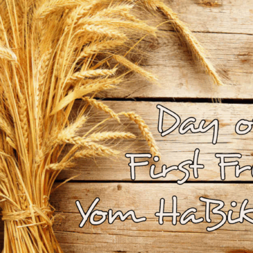 First Fruits – Yom HaBikkurim